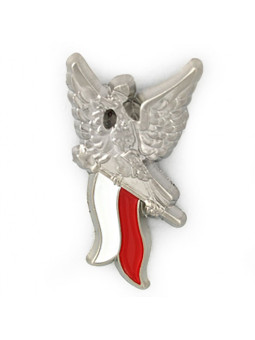 The eagle on the flag on the fly - pin