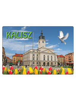 Carte postale 3D Kalisz