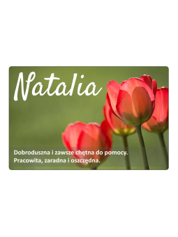 Chladnička magnet - Natalia