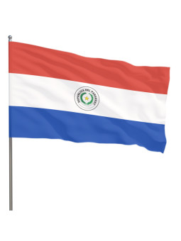 Paraguay flag 70 x 110 cm