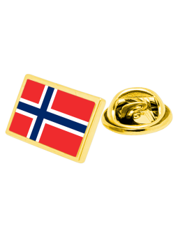 Norway flag pin