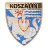 Koszalin coat of arms pin